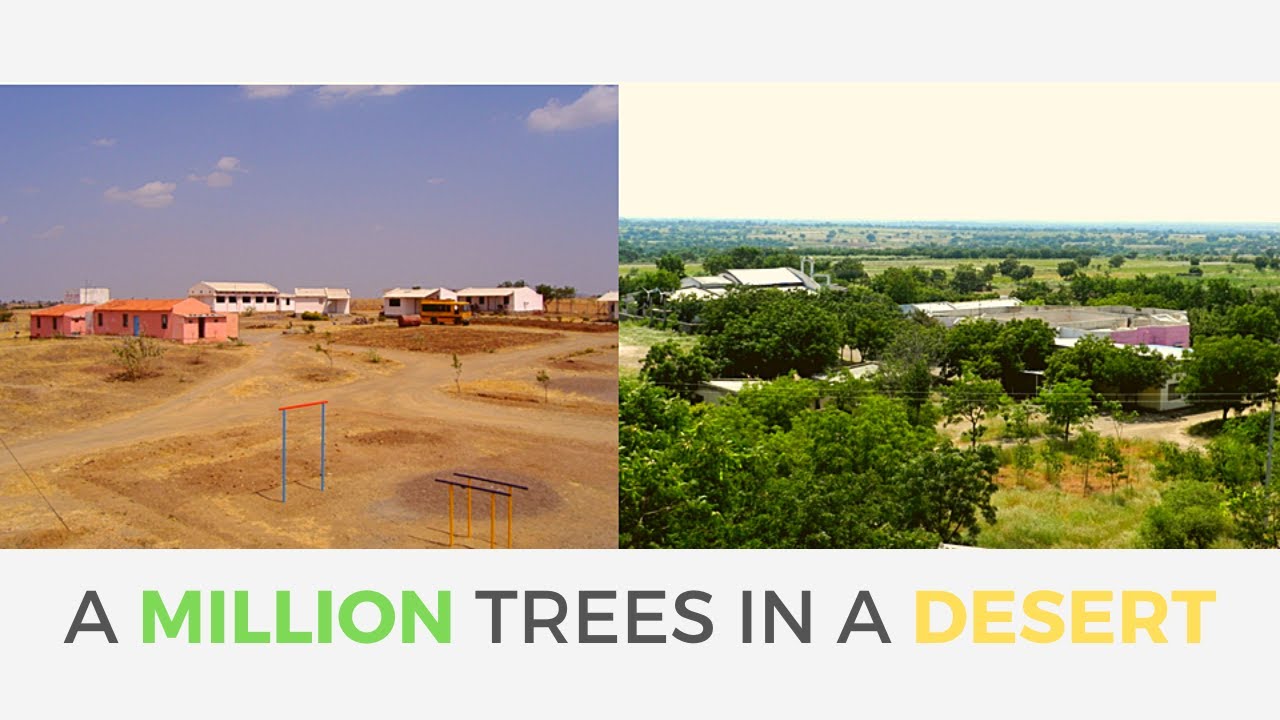 Planting A MILLION Trees in a Desert