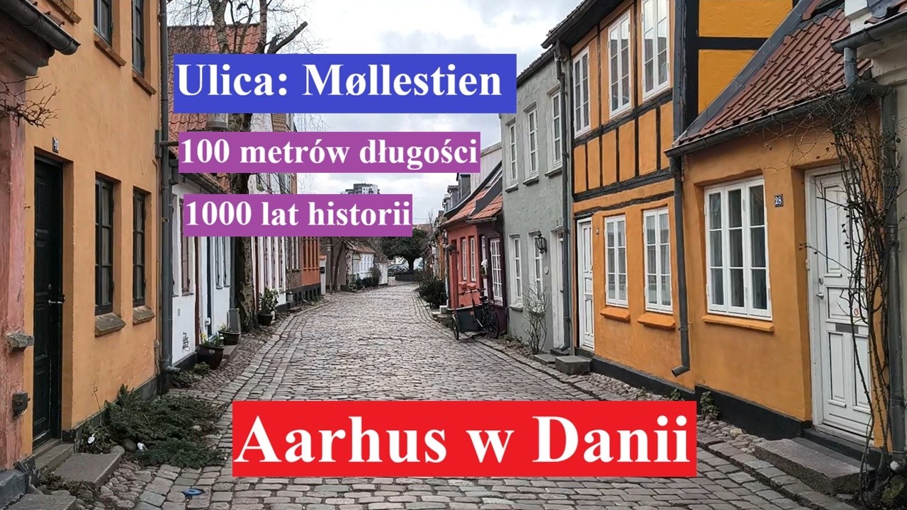 Ulica: Møllestien w Aarhus W Danii #spacer #aarhus #dom #wycieczka #chodzenie