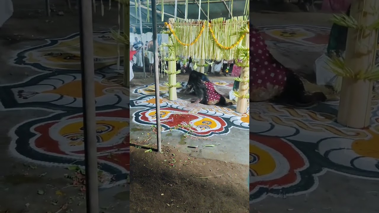സർപ്പ തുള്ളൽ 🙏