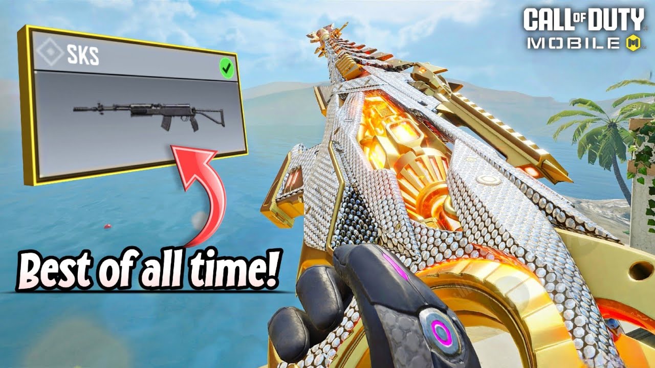 That’s why SKS is the best Marksman of all time
