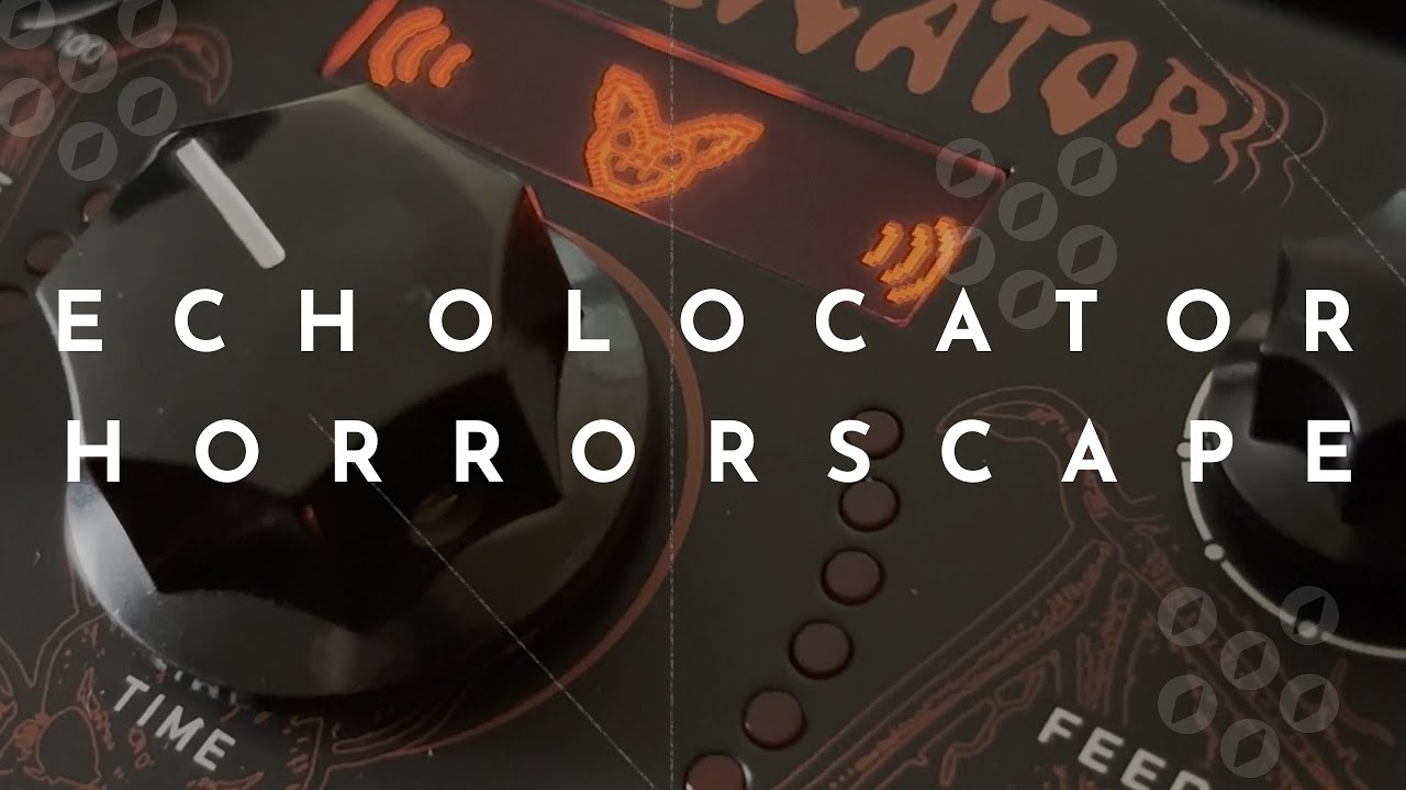 Creating horrorscape sounds using only the Erica Synths Echolocator