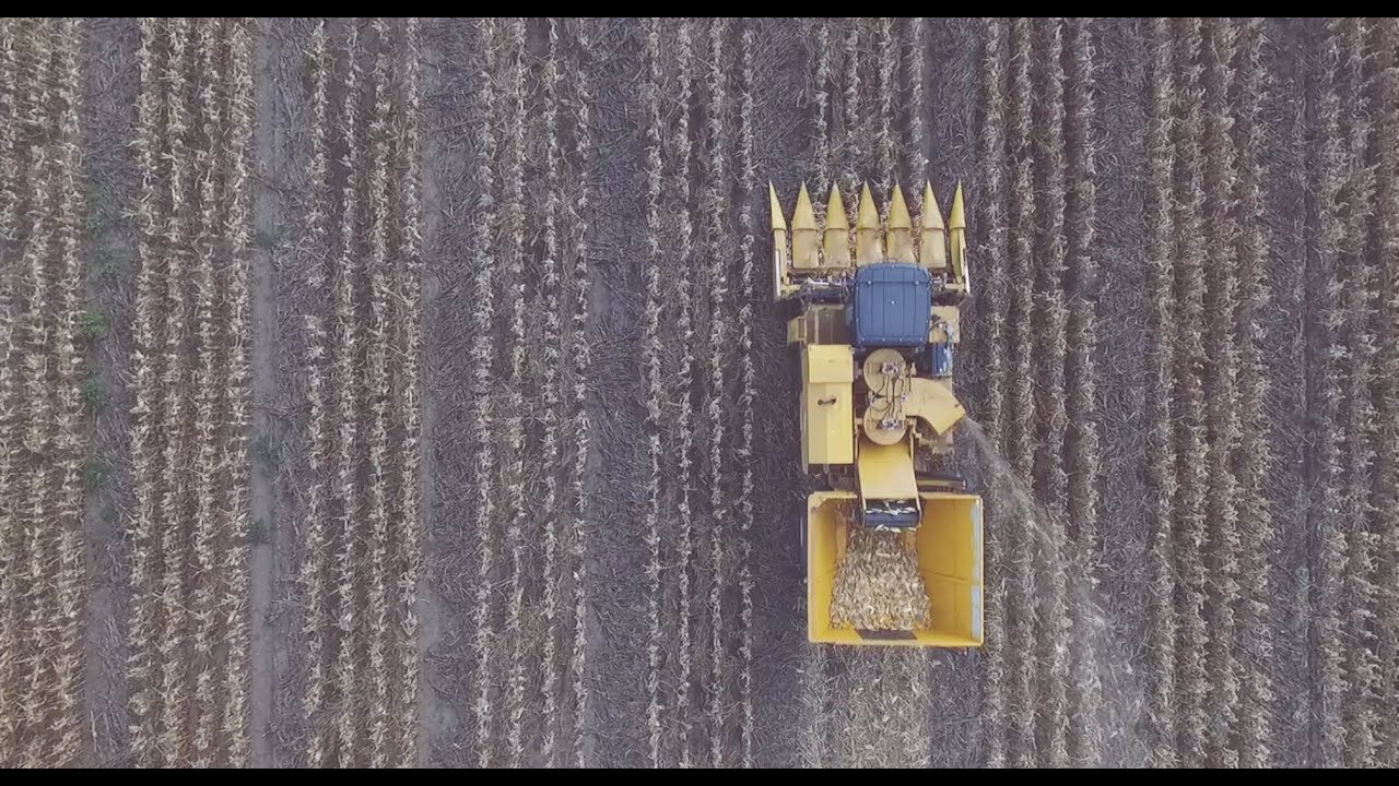 Pioneer Parndorf - Hightech mit Tradition in Österreich
