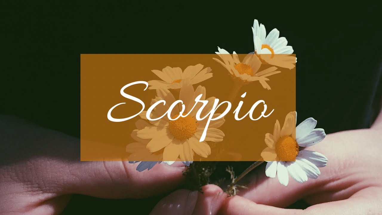 Scorpio❤️Person on ur mind: Broke ur heart by keeping secrets & now they want to say this..