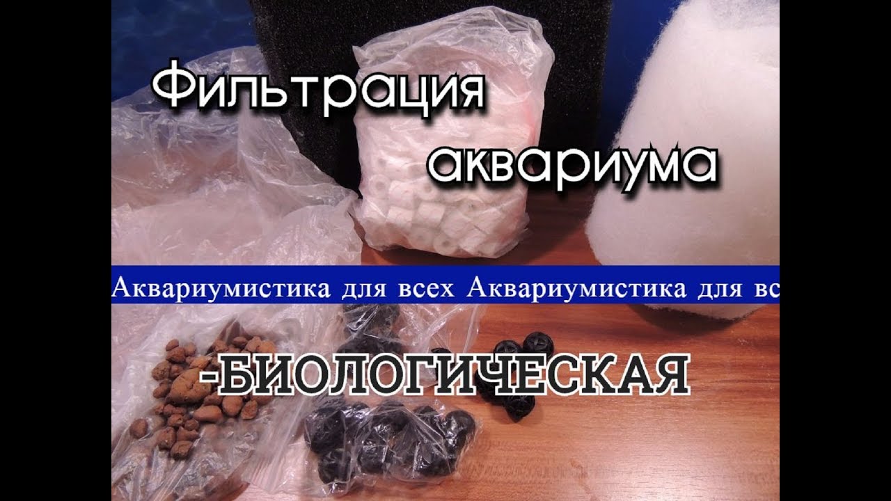 Фильтрация аквариума.  Выпуск 3.  Биологическая фильтрация.  Часть 2