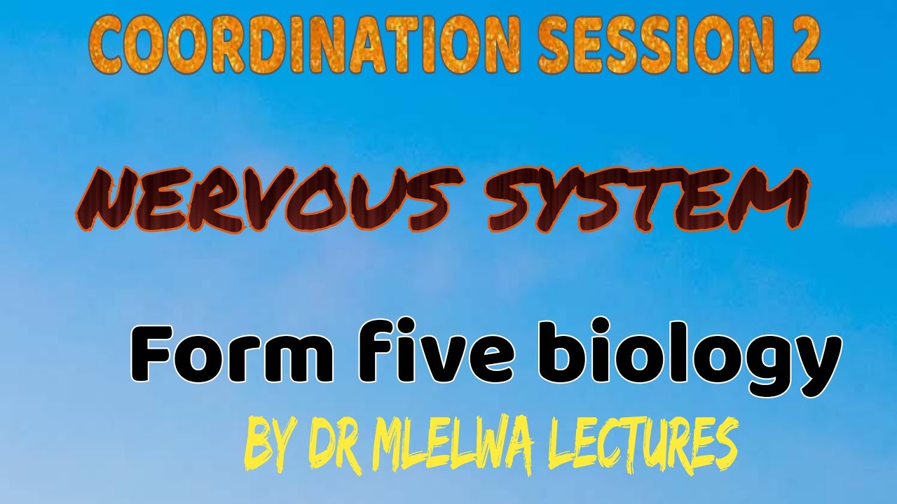 Form five coordination session 2, Nervous system.