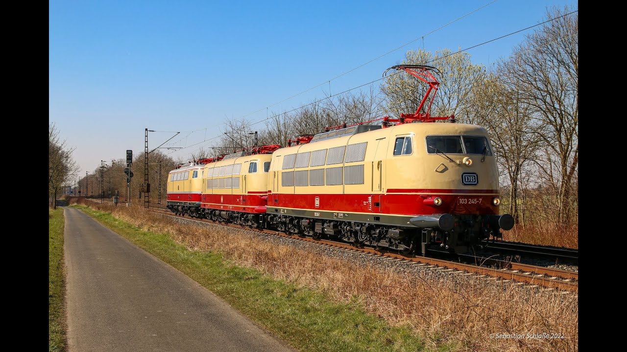 Sichtungen März 2022