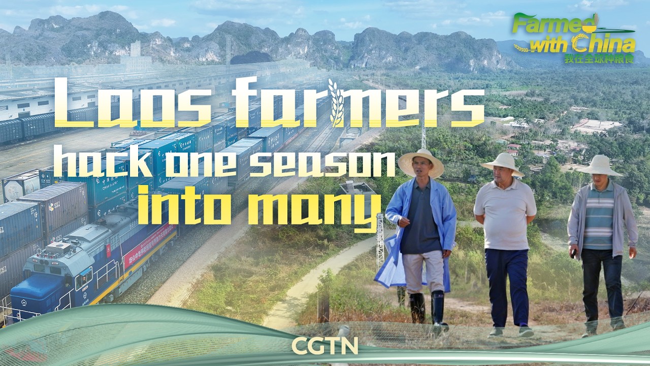 Laos farmers hack one season into many