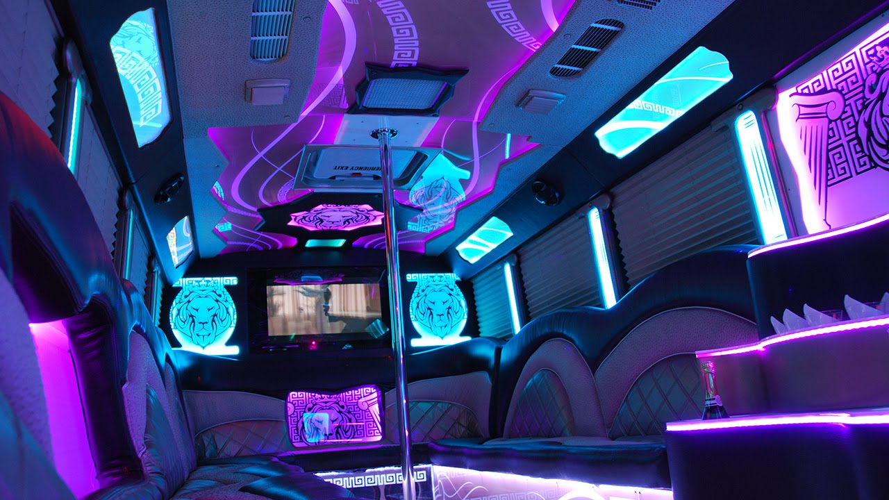 2015 Amazing Party Bus Bellagio by Elite Chicago Limo
