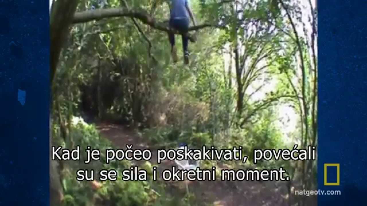 Znanost glupog, S02E06