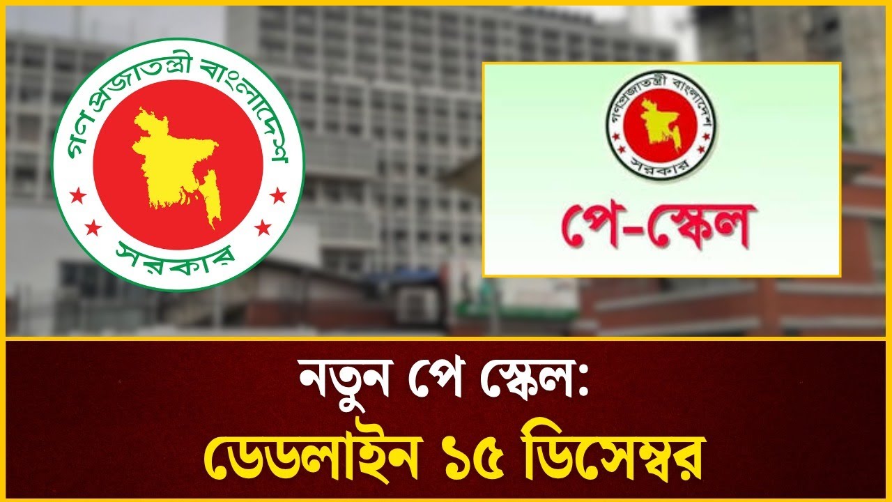 নতুন পে স্কেল: ডে**ডলাইন ১৫ ডিসেম্বর | Pay Scale Update news | The Daily Campus