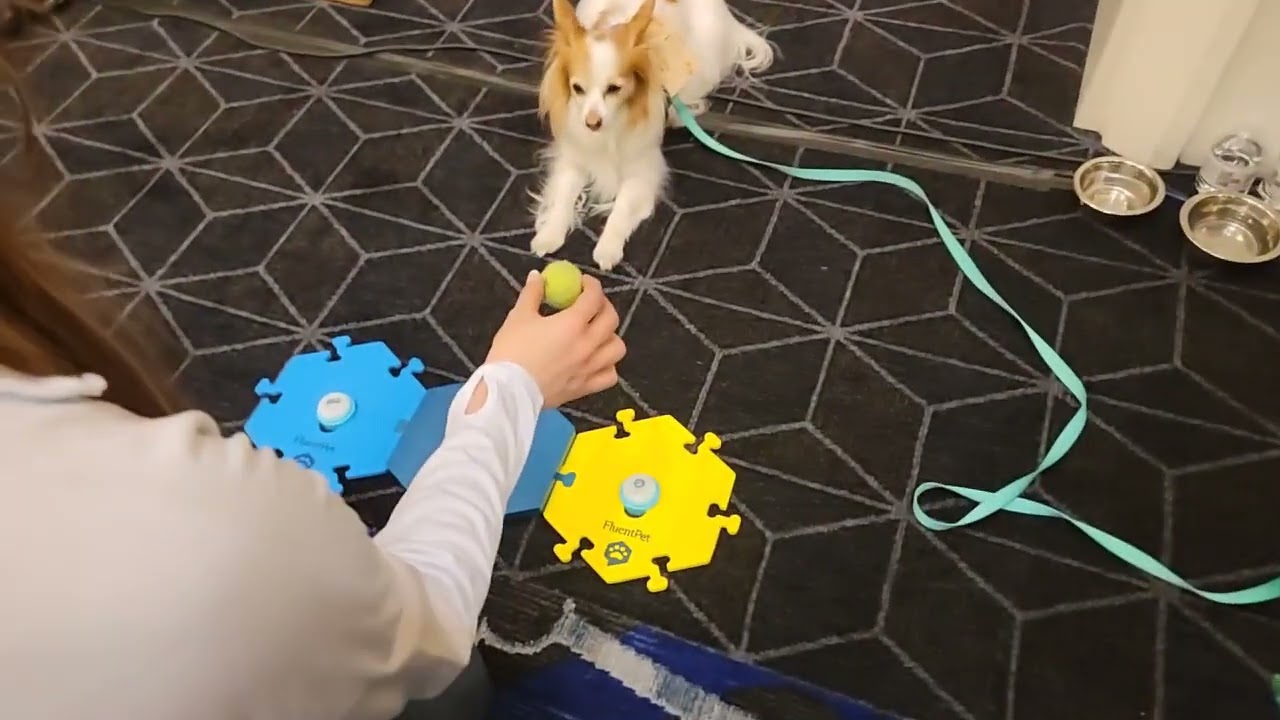Pepcom at CES 2023 with TheGeekChurch.com Part 1! A Visit with PetFluent