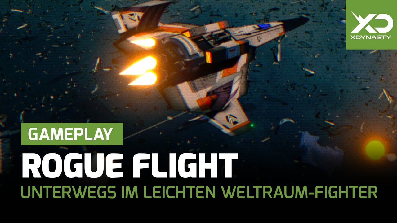 Rogue Flight | Unterwegs im leichten Weltraum-Fighter