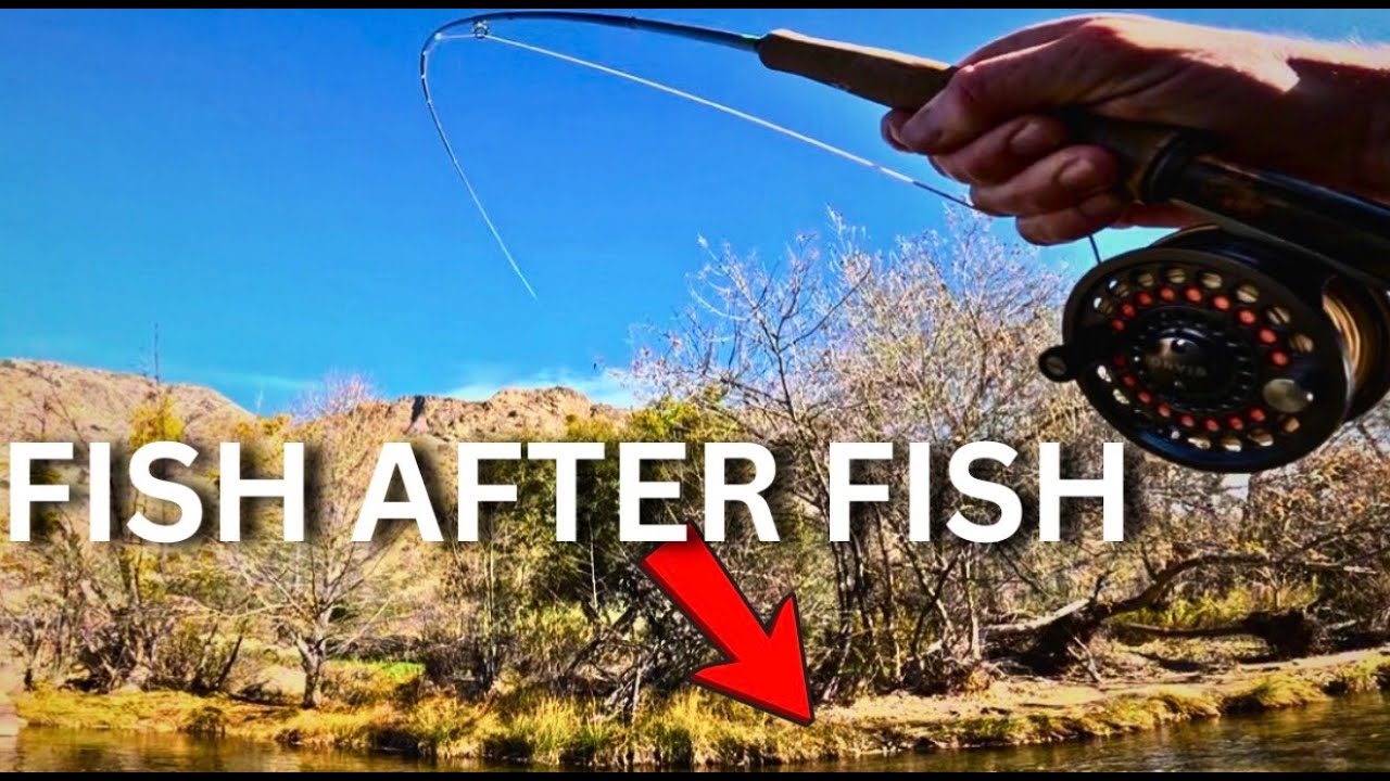 Fly Fishing California - Kern River 40+ Fish