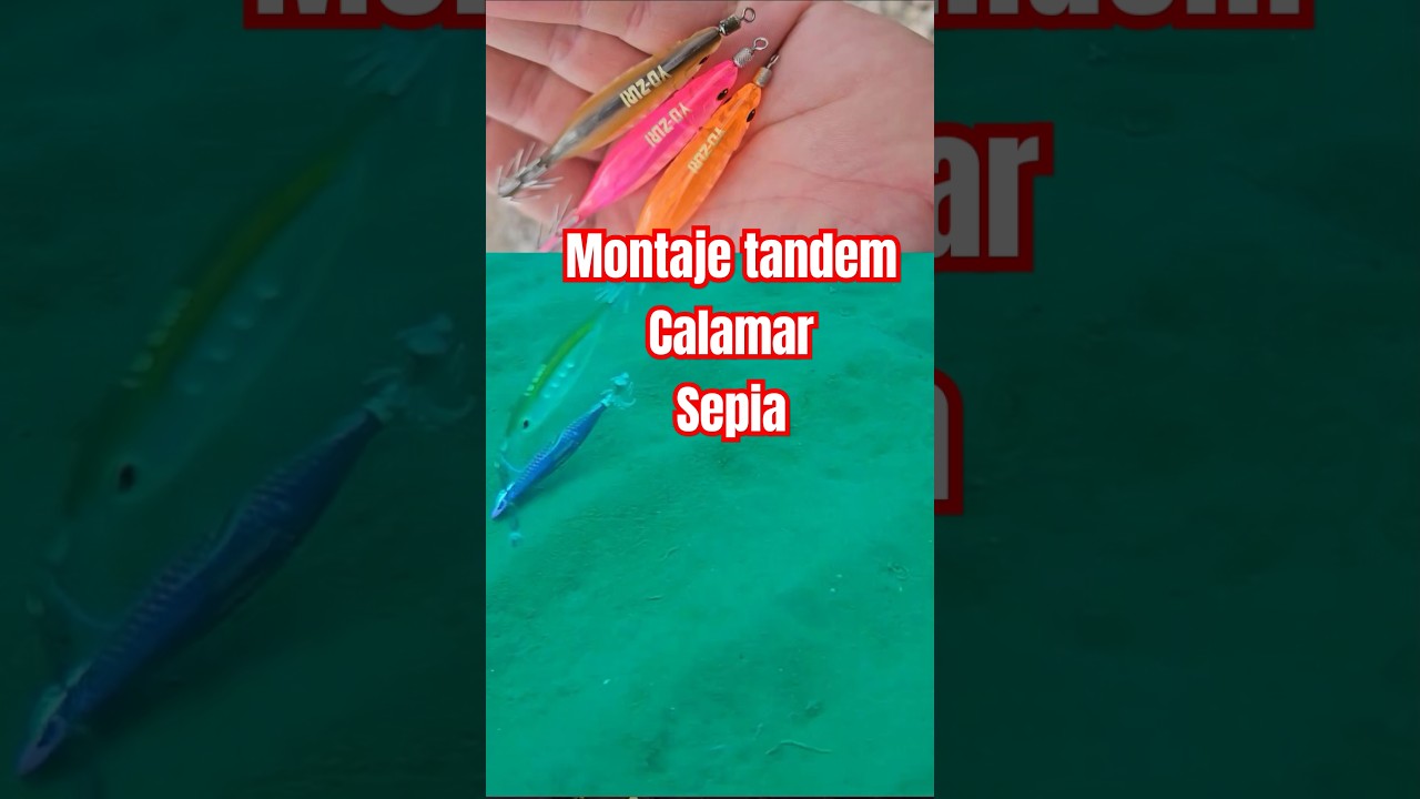 Montaje tandem o doble para calamar sepia, orilla y embarcacion #eging #calamar #sepia