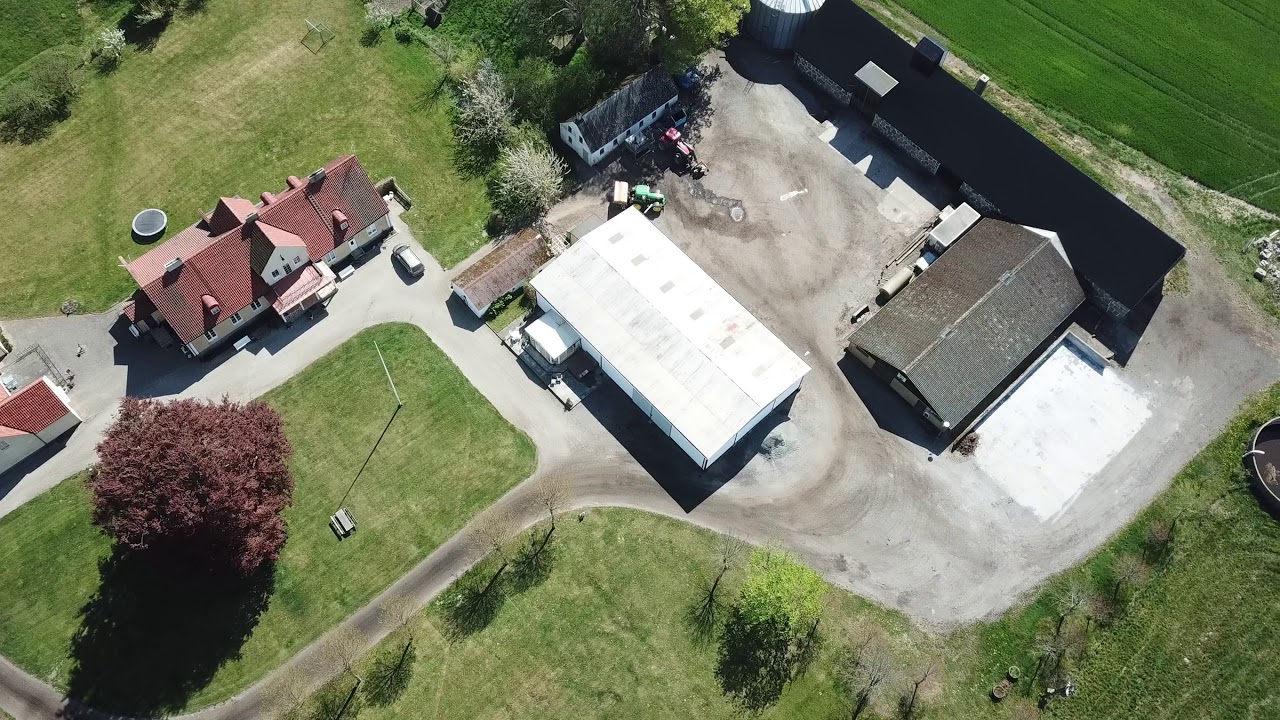Borrby Kungsgård 