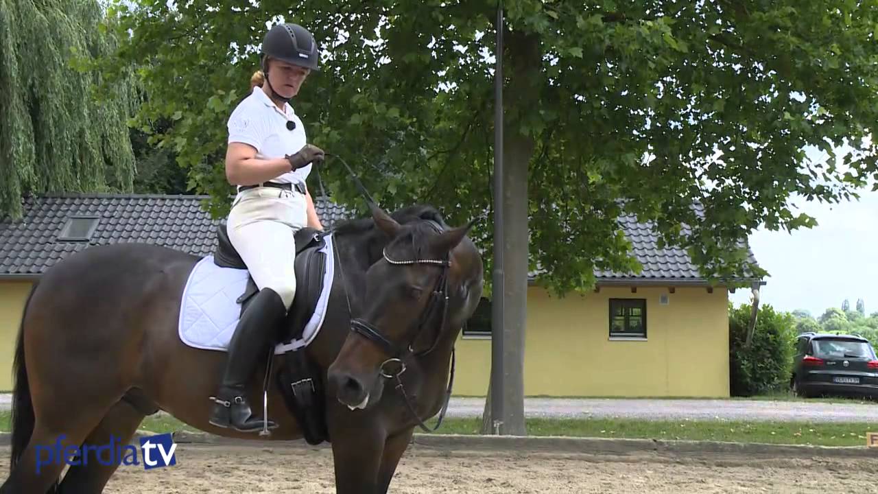 Stellung erfragen, anwenden, korrigieren | Britta Sch&ouml;ffmann