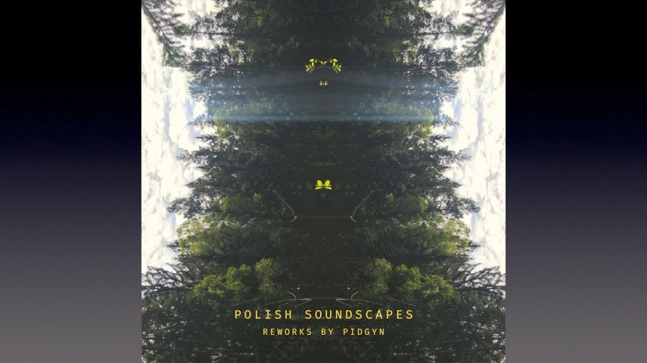 PIDGYN - Polish Soundscapes - Reworks 2020 (Full Album)
