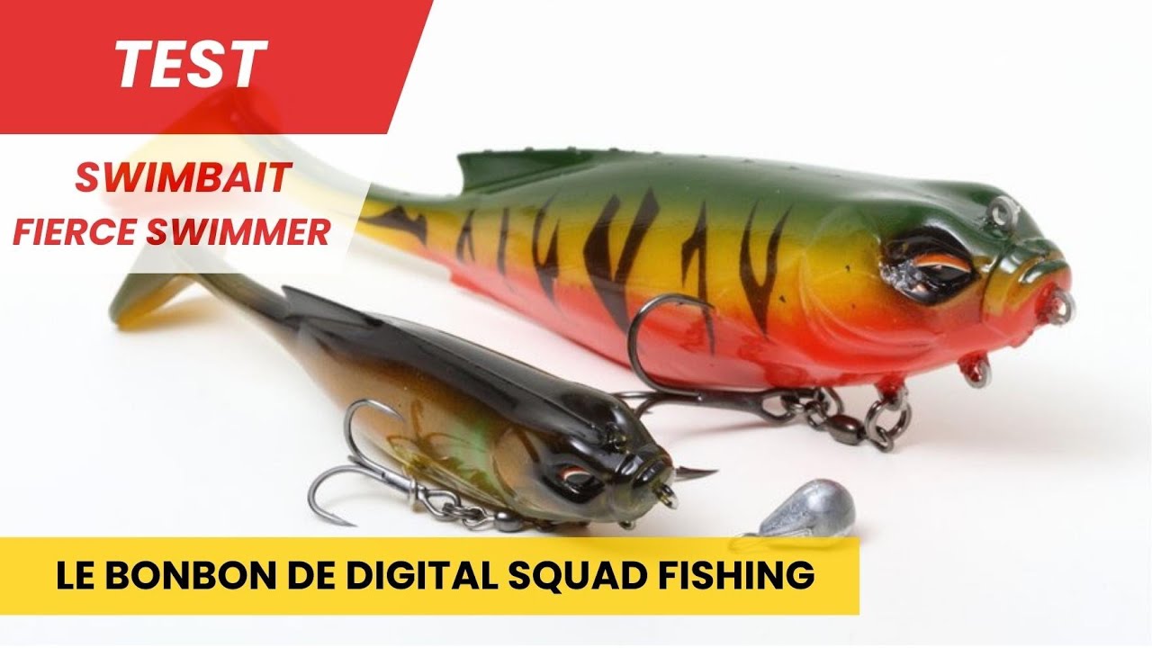 Test du leurre Fierce Swimmer - Digital Squad Fishing