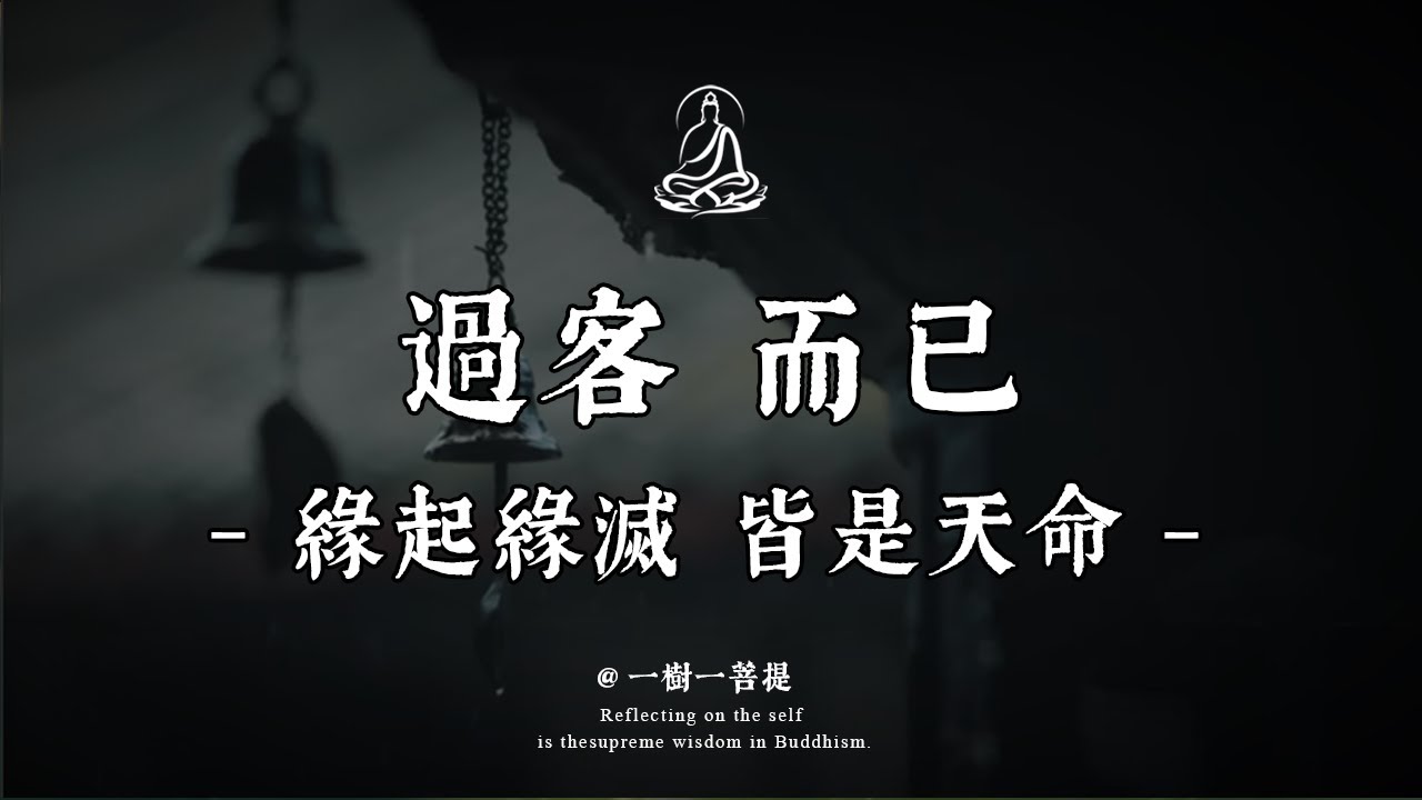 看懂了“過客”二字，你就不再需要任何人的“永遠”。|一樹一菩提 #覺醒 #禪悟人生 #人生感悟 #情感 #佛法 #正能量 #菩提解脫道 #心靈成長 #禅意生活 #人生感悟