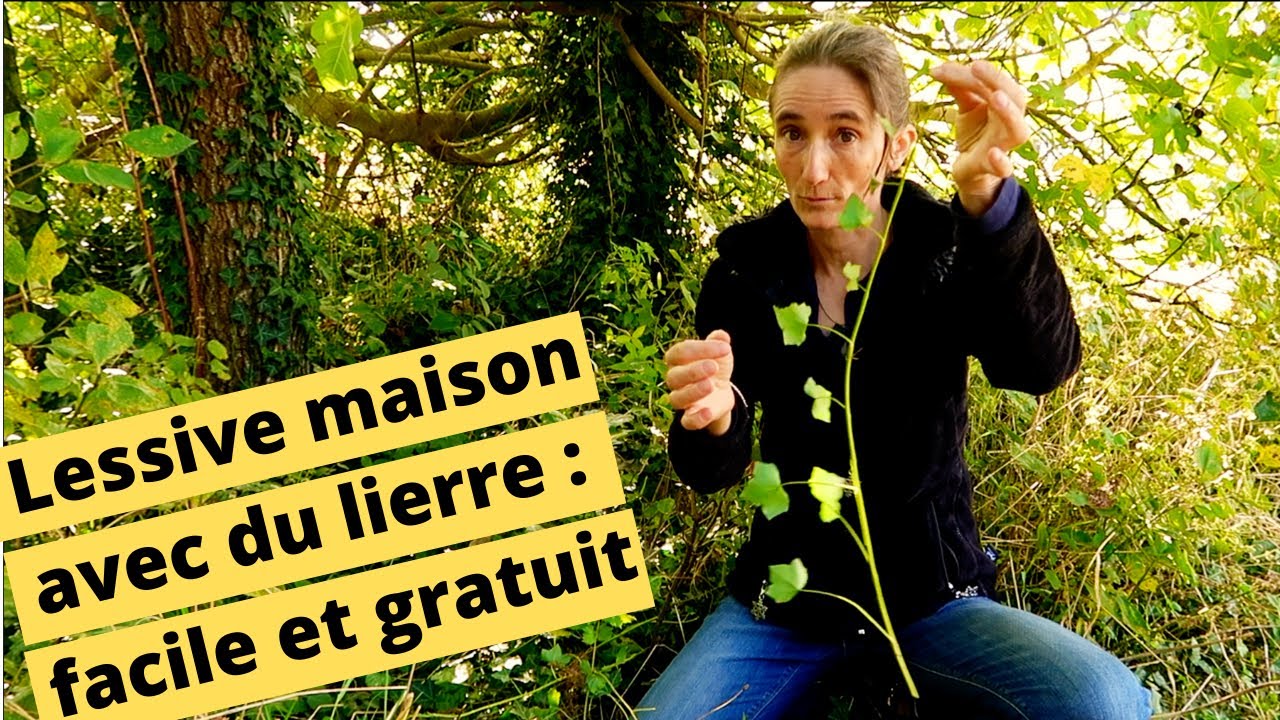 😀🍀LESSIVE GRATUITE AVEC DU LIERRE😀🍀