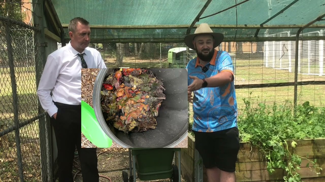 Principal Check in - FOOD SCRAP FRIDAY Morisset High School Term 4, 2025