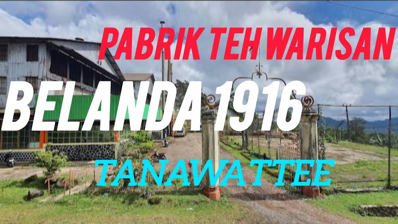 Kondisi Pabrik teh peninggalan belanda masih aktif sampai sekarang