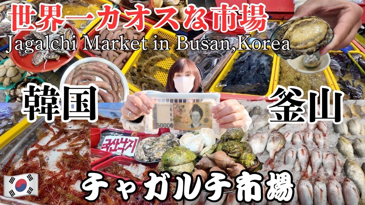 【韓国・釜山】世界一カオスな激ヤバ海鮮市場が面白すぎる。Jagalchi Market#韓国#グルメ#市場
