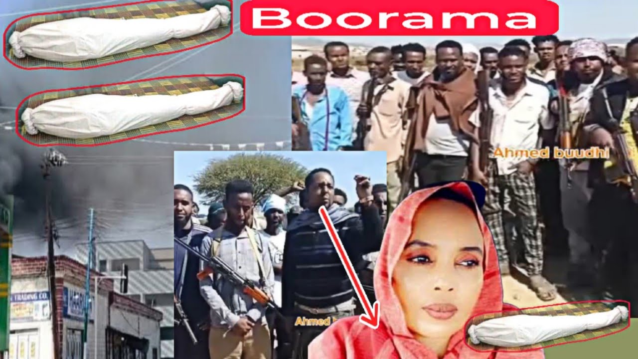 Dagaalki iyo Xasuuqi Wali wuusocdaa. Safiyo Tusmo Ninkeedi oo Hubka qaatay.Samaroon wuu kacay.