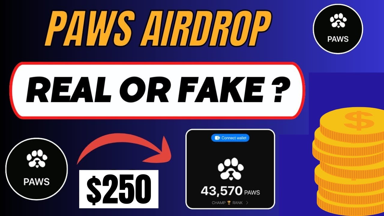 PAWS Airdrop (Real or Fake): All You Need To Know, 
