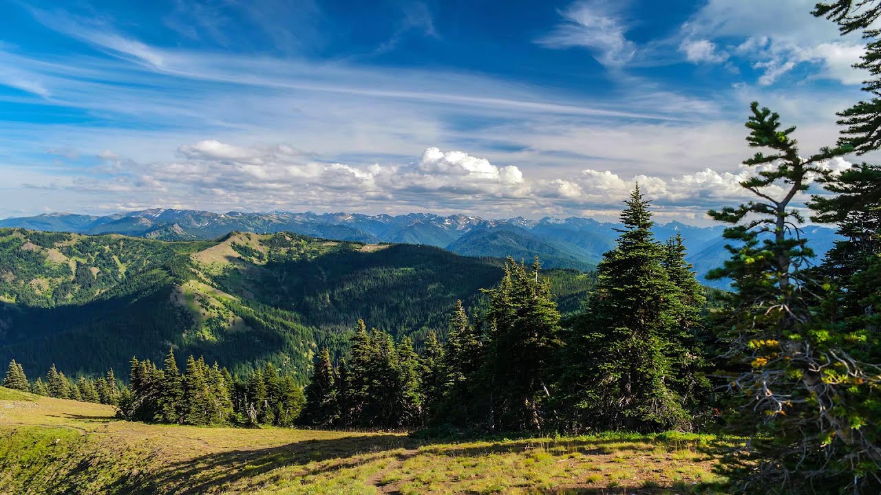 Hurricane Hill Trail - Olympic National Park WA 4K UHD