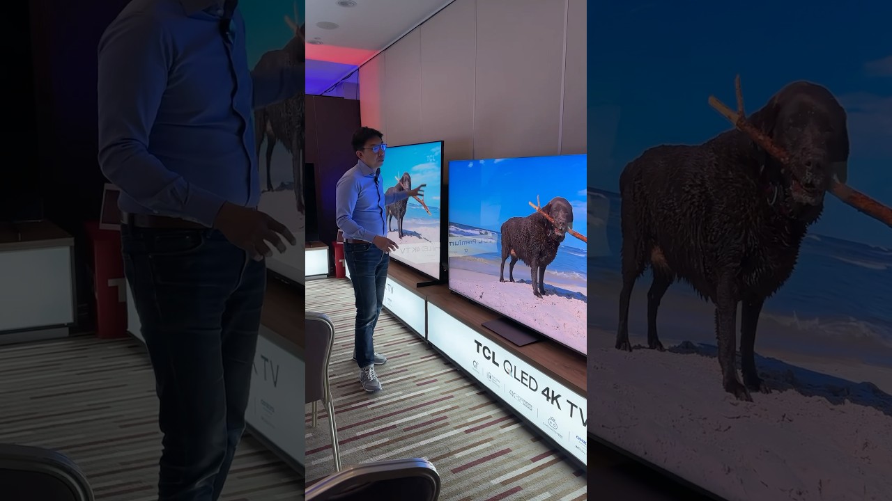 Mini LED TV with Best Viewing Angle?