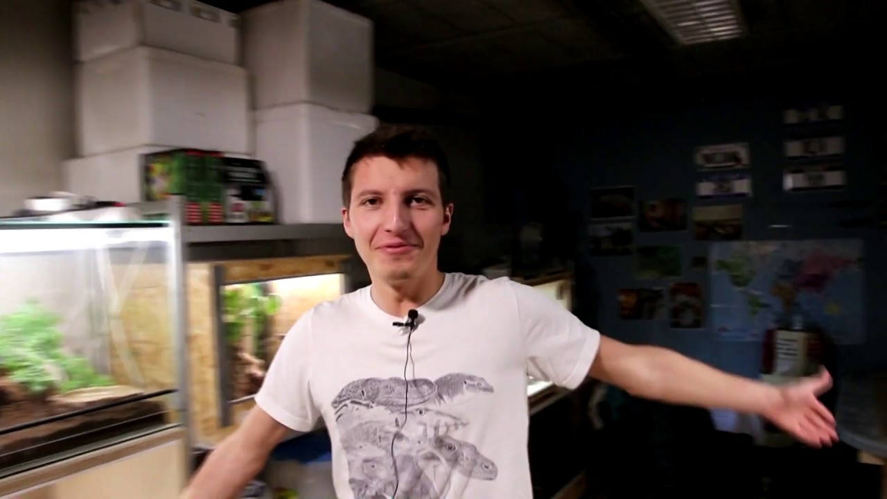REPTILE ROOM TOUR !!!!!!!