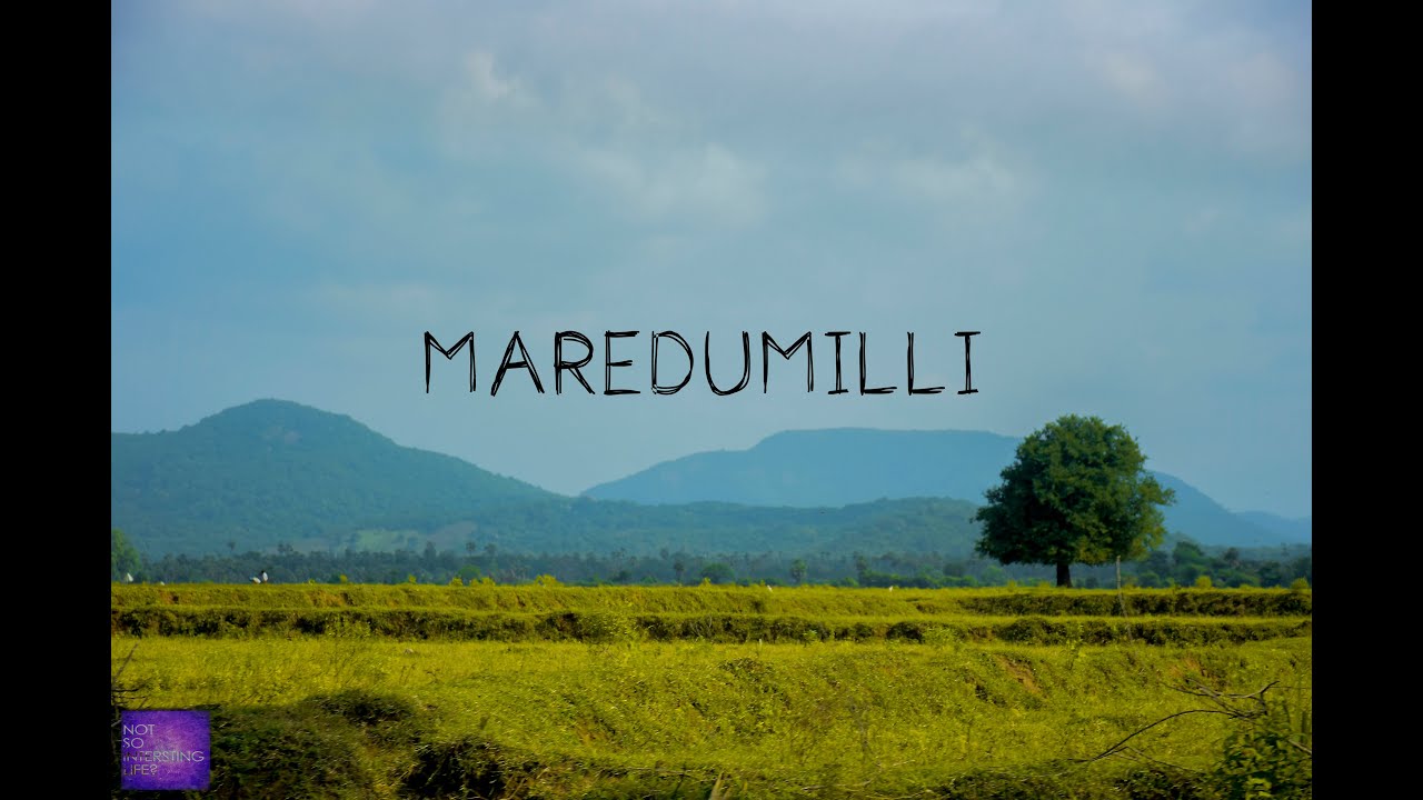 MAREDUMILLI - 1 upto Rampa || With Team Darshini || NSIL