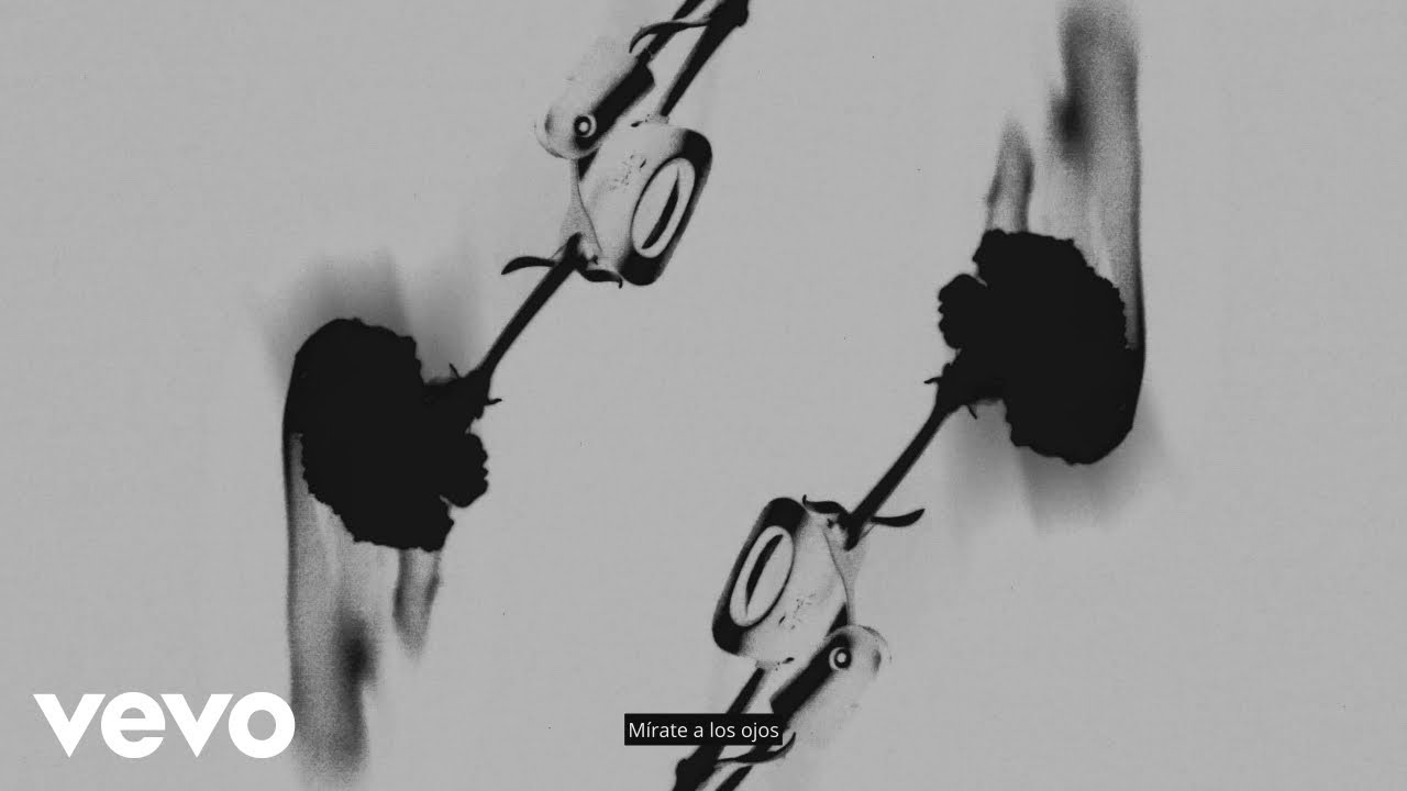 Eva Calyza - conjuro (interludio) (Visualizer) ft. Kfé