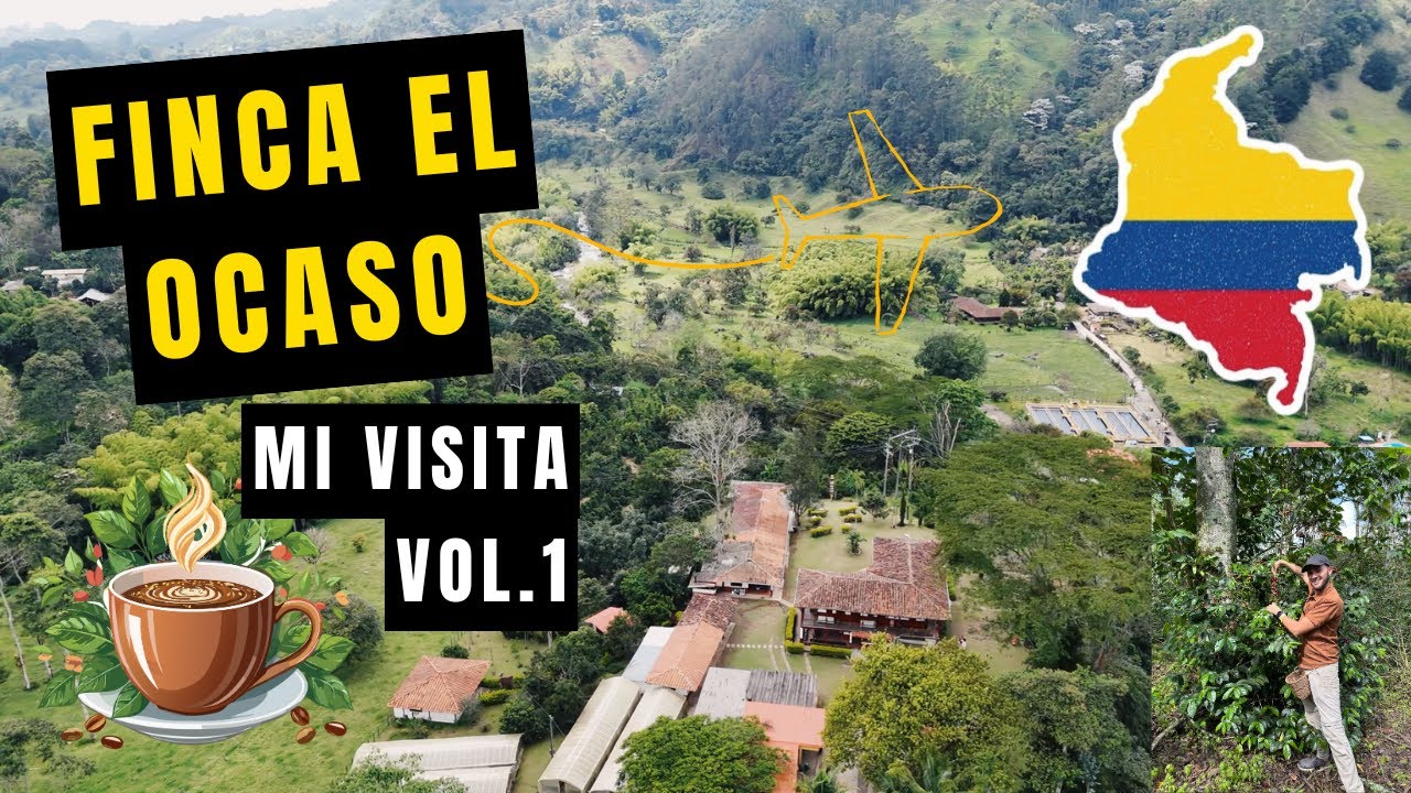 ¿Por qué los expertos le dicen DRUPA al café? ☕ El viaje al origen en Salento