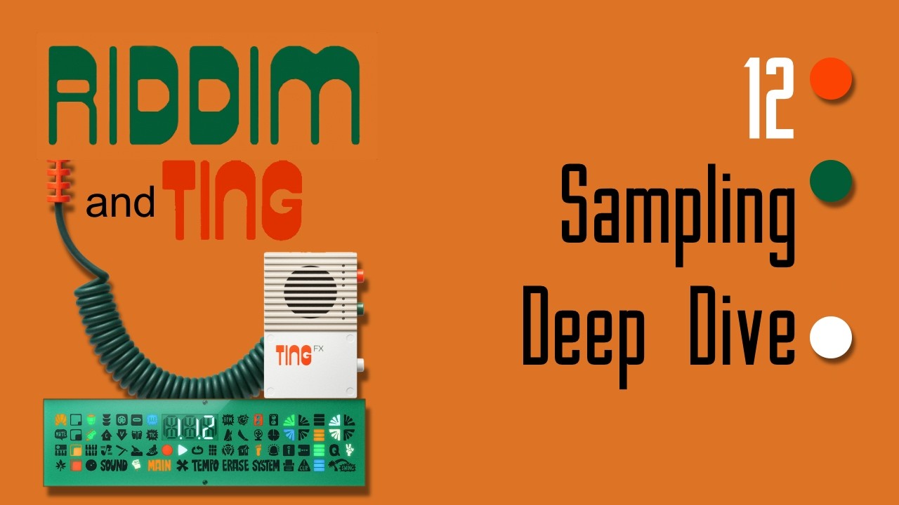 Teenage Engineering EP-40 Riddim - Tutorial 12 Sampling Deep Dive