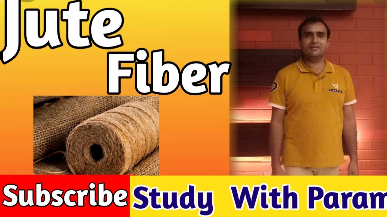 JUTE FIBER   ||  BAST  FIBER   ||  TEXTILE  FIBER   || STUDY WITH PARAM   ||  PARMANAND