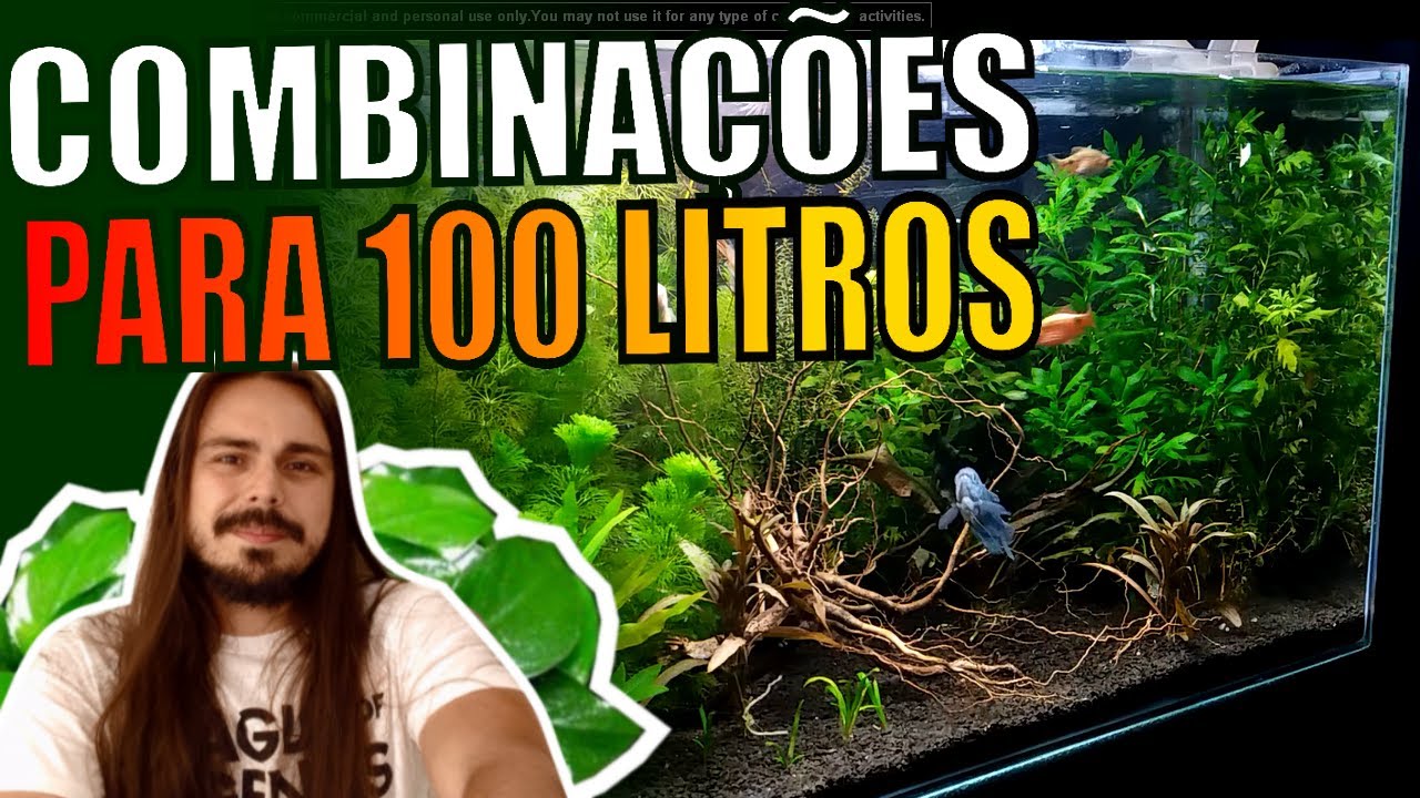 🔴COMBINAÇÕES DE FAUNAS PARA AQUÁRIOS DE 100 LITROS|Mr. Betta|