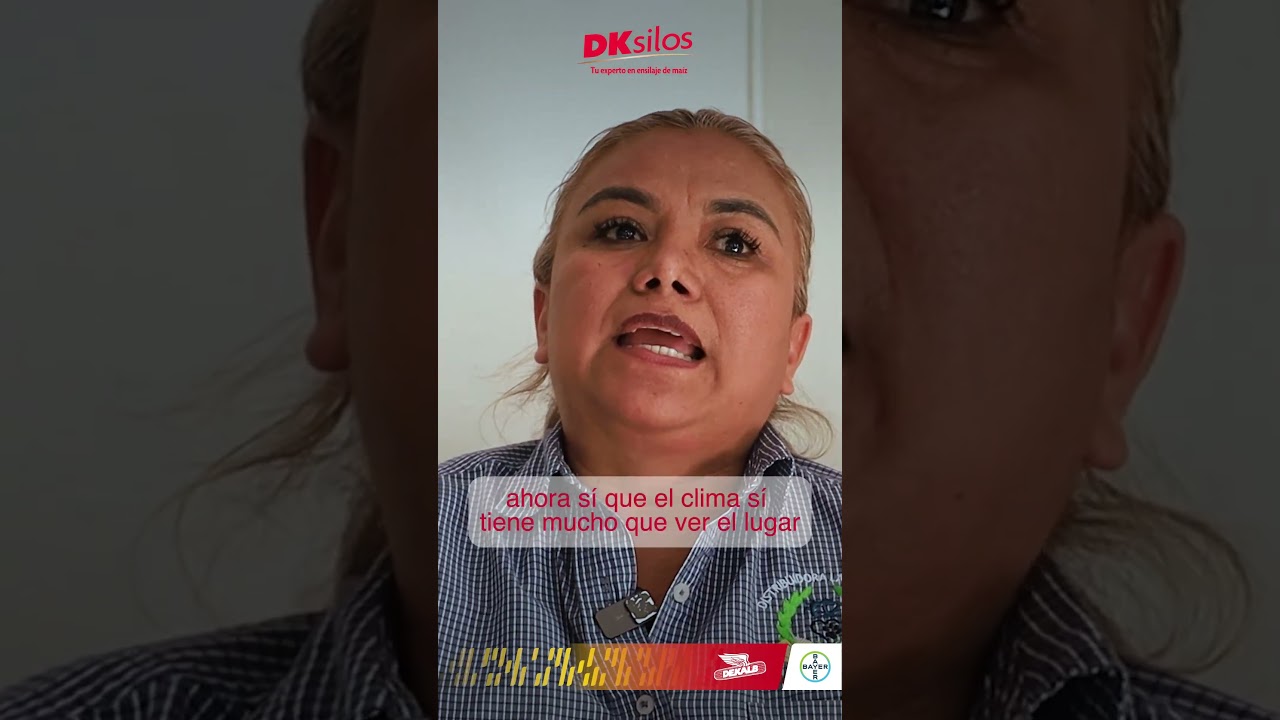 &iquest;No pudiste hacer tu ensilaje de ma&iacute;z este ciclo?