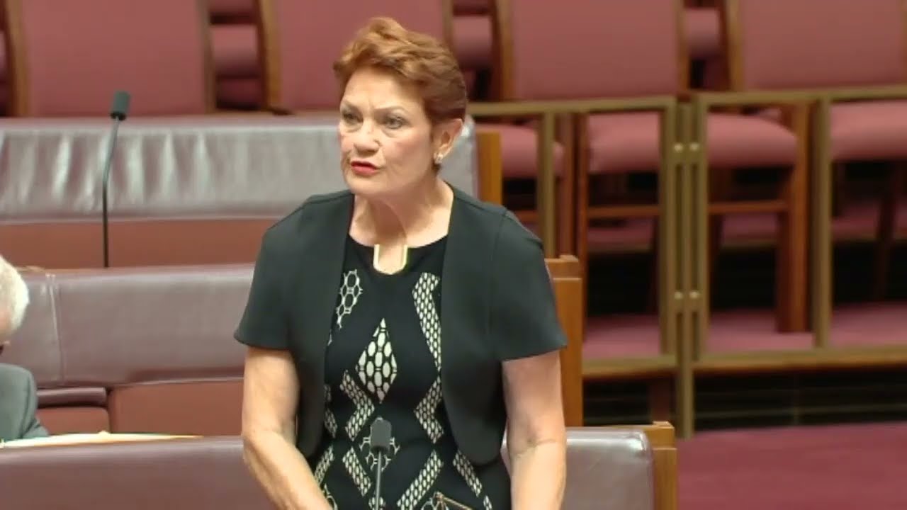 Pauline Hanson's Bold Call to Australians: Demand a Halt on Immigration Now!