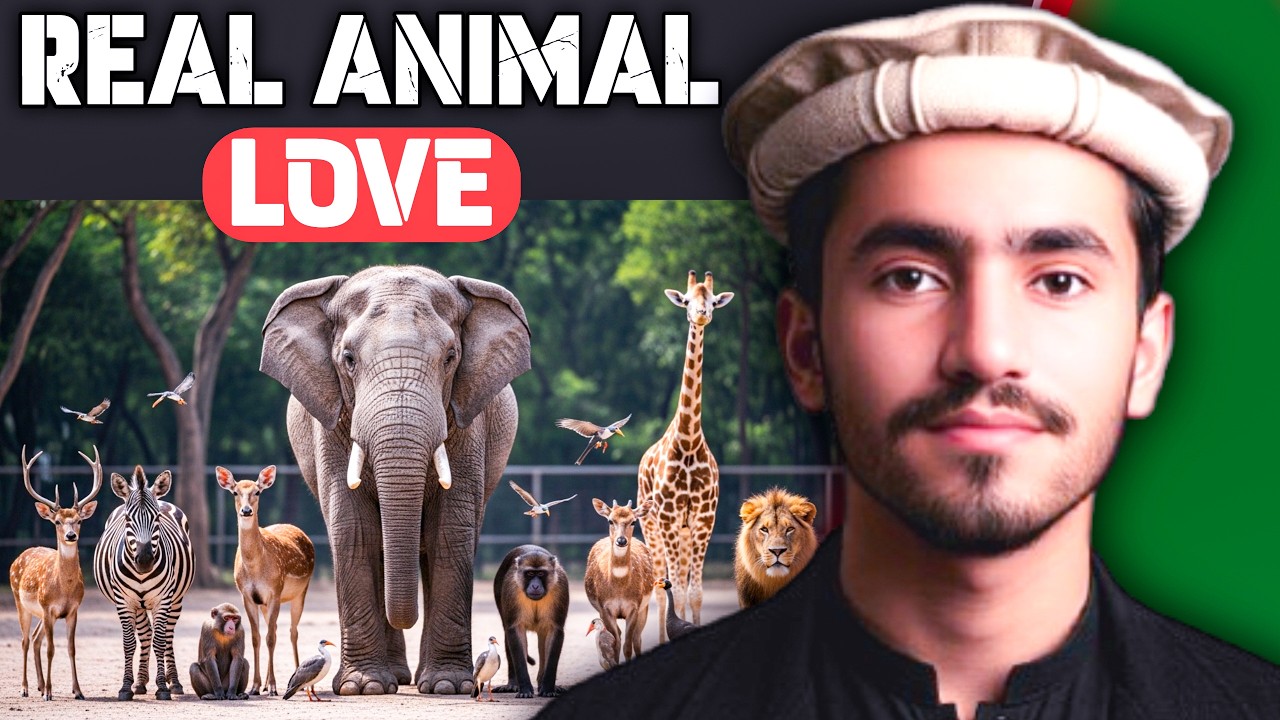 Animals That Truly Care for Humans