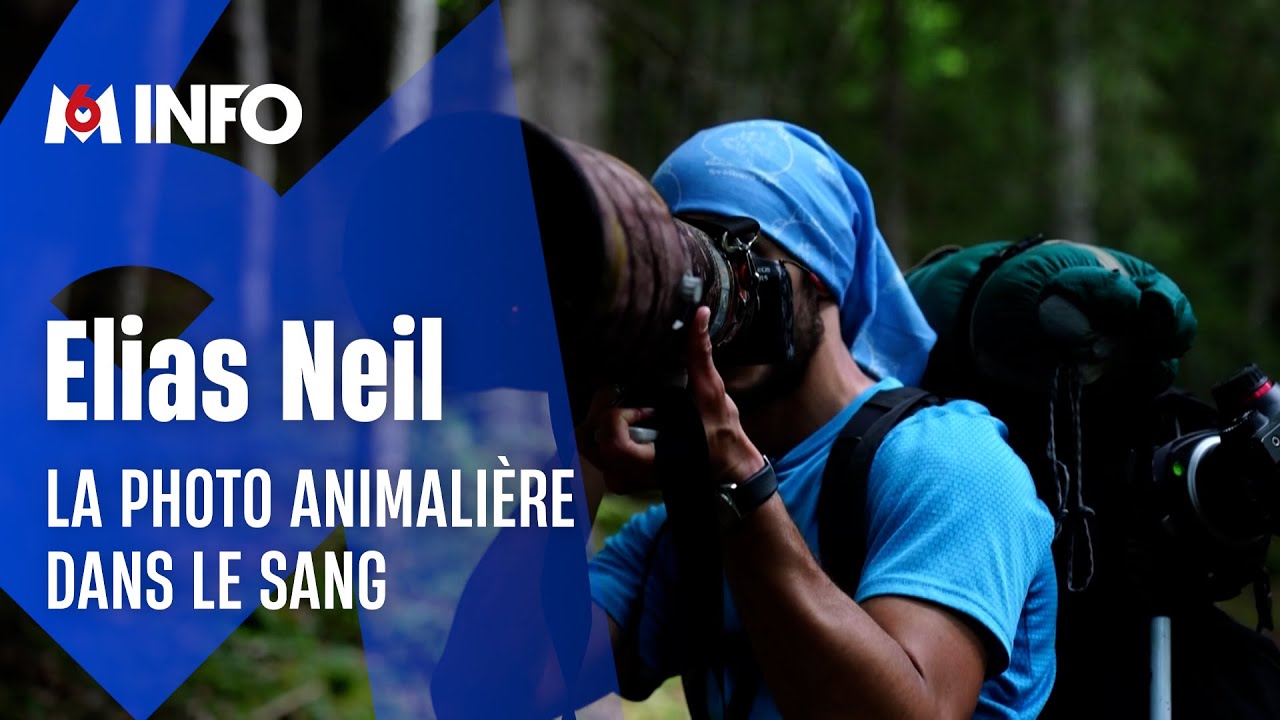 Elias Neil : l’inlassable photographe animalier