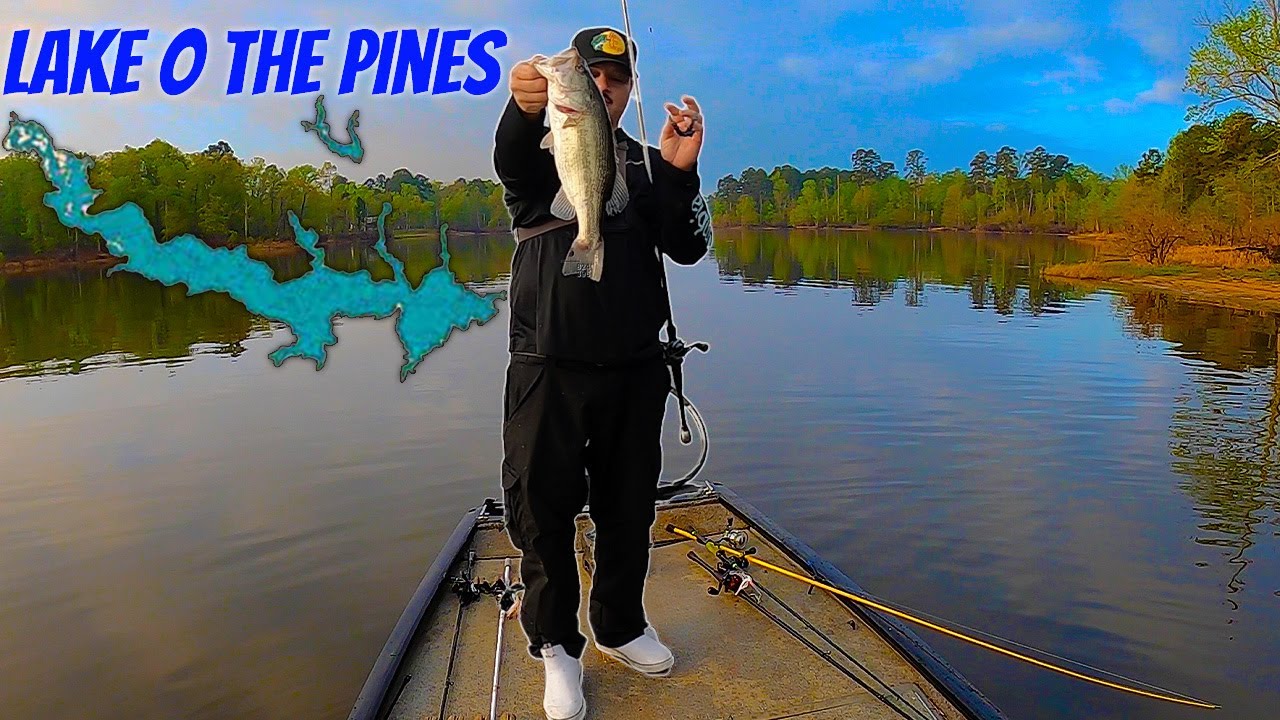 LAKE O THE PINES Fishing For Healthy Spring Fish!