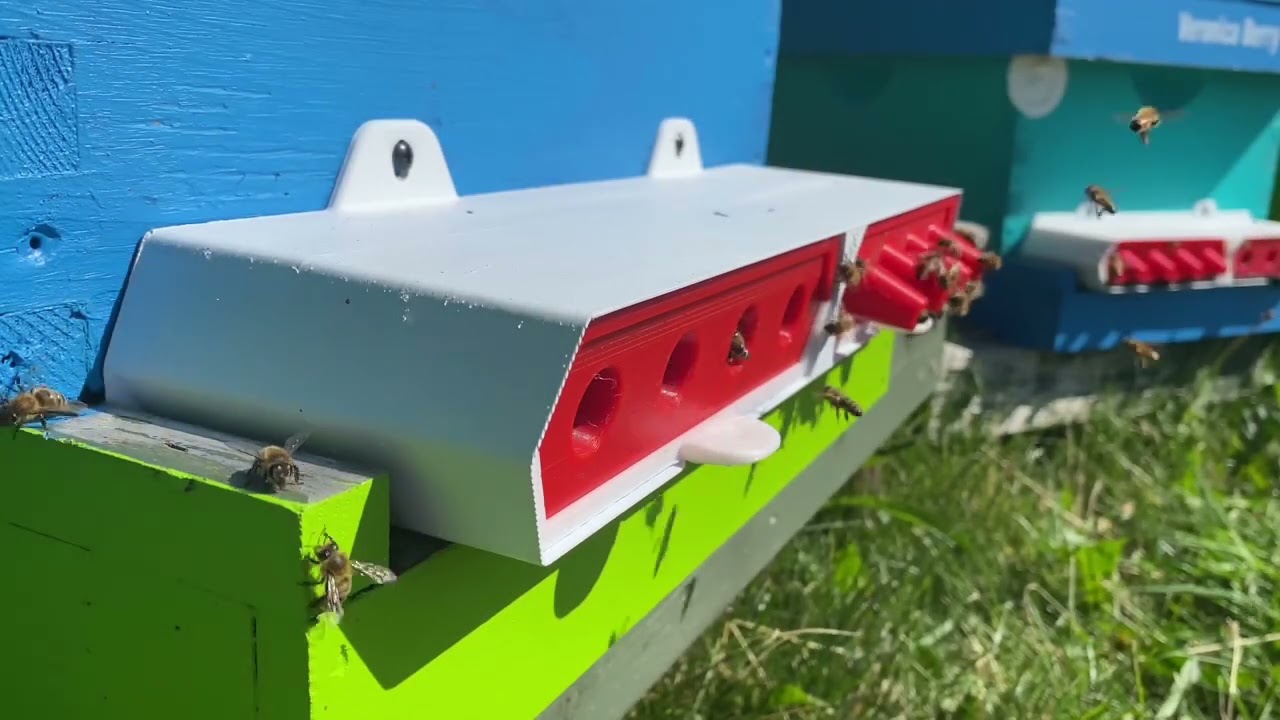 Best for Bees Info Video