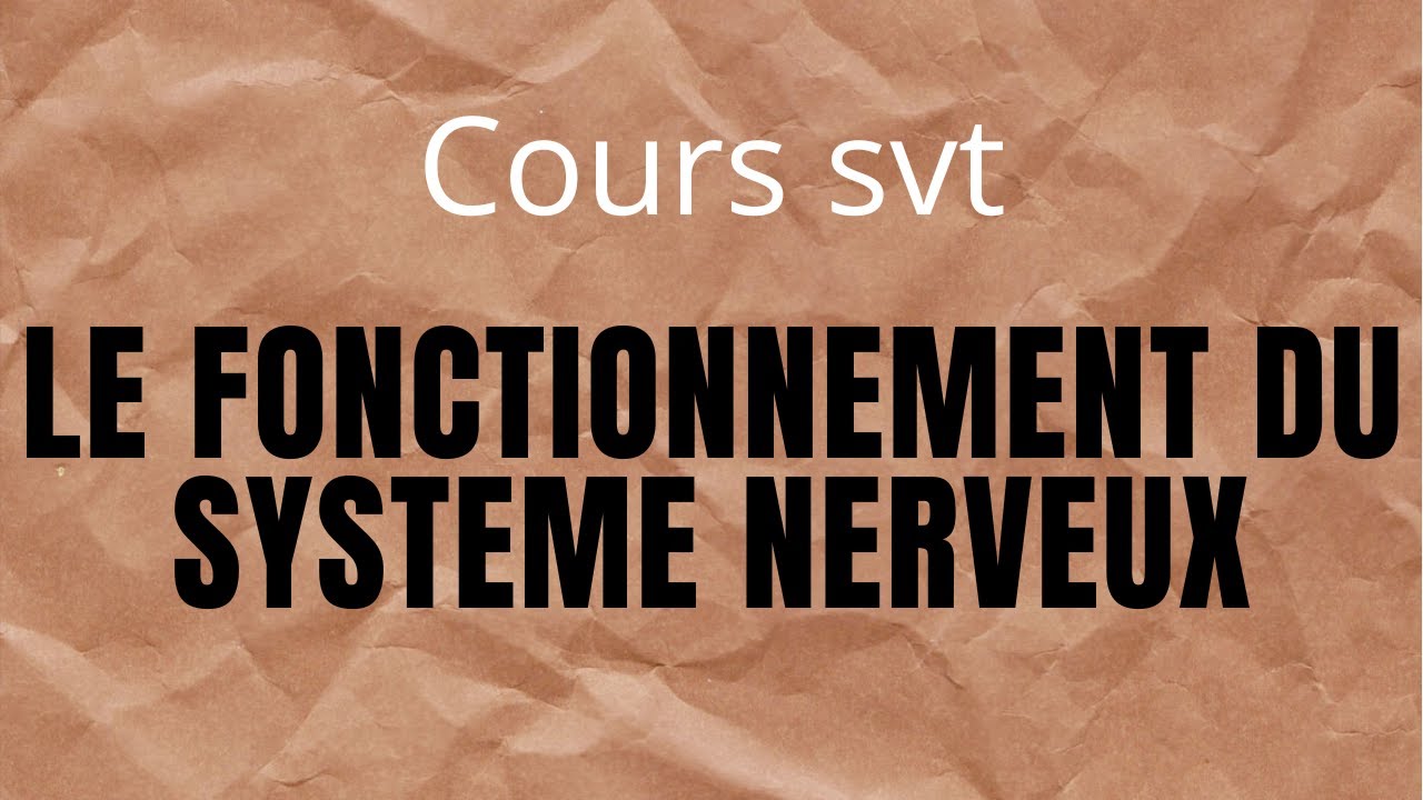 Cours_SVT_3ièm_Le fonctionnement du système nerveux//M. DIALLO