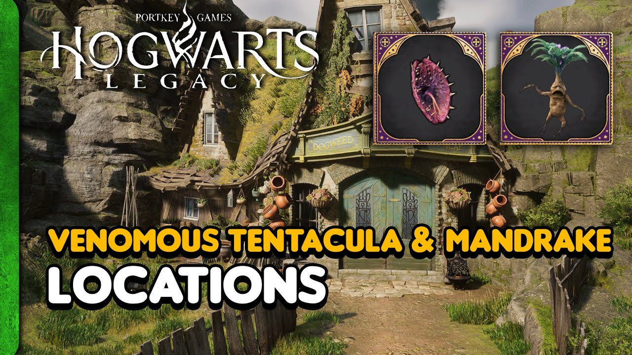 Hogwarts Legacy: Venomous Tentacula & Mandrake Locations