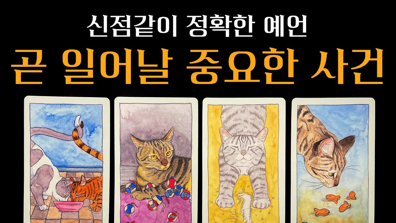 [타로] 99.9% 적중률🔥 곧 당신에게 일어날 중요한 사건