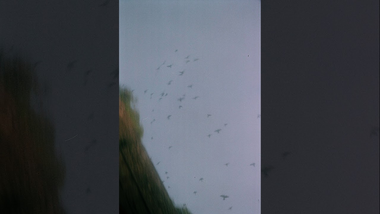 小山田壮平 - サイン -Acoustic Ver.- (Official Audio)