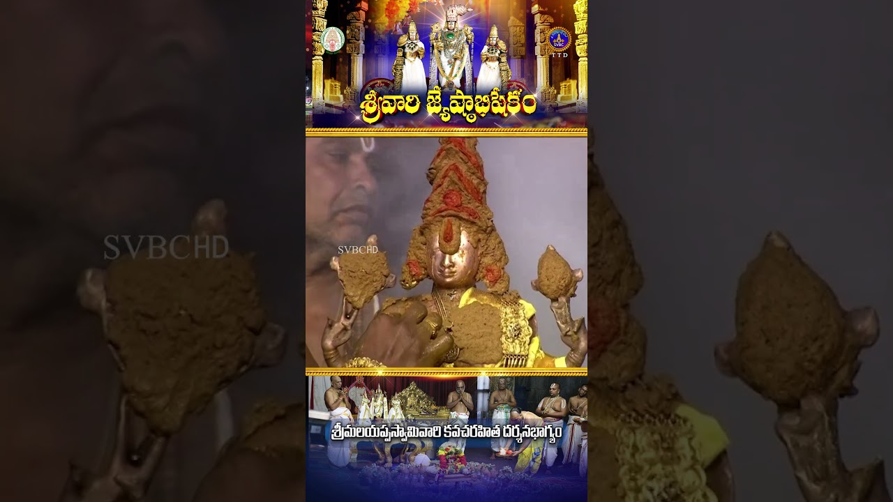 శ్రీవారి జ్యేష్టాభిషేకం || SVBC TTD