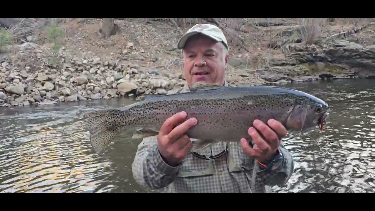 Testing my fly fishing rods on monster fish today...😂